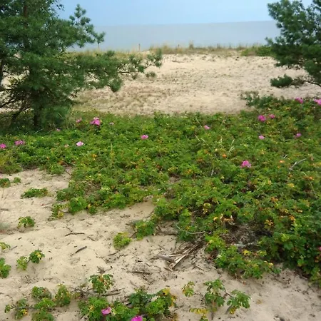 Appartement Wesola *